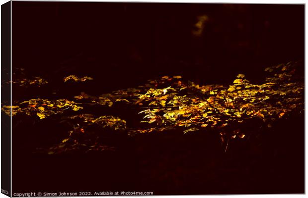 sunlit leaves Canvas Print by Simon Johnson