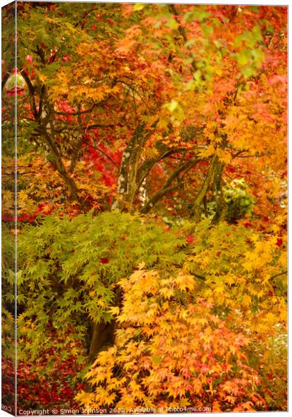 Autumn Colour Canvas Print by Simon Johnson