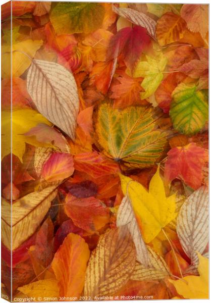 Autumn  leaves Canvas Print by Simon Johnson