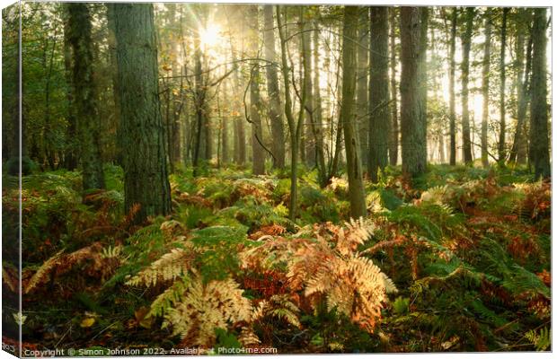 Woodland Sunlight  Canvas Print by Simon Johnson