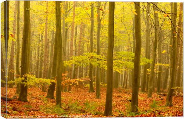 Misty autumn woodland Canvas Print by Simon Johnson
