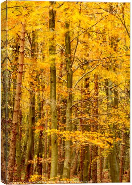 Wind blown autumn woodland Canvas Print by Simon Johnson