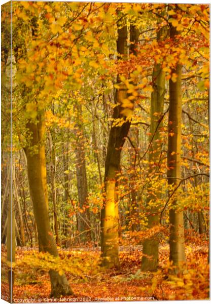 Autumn Woodland  Canvas Print by Simon Johnson