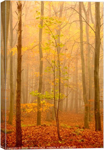 misty autumn woodland Canvas Print by Simon Johnson