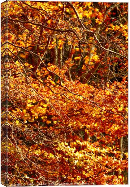 Golden leaves,naked branches Canvas Print by Simon Johnson