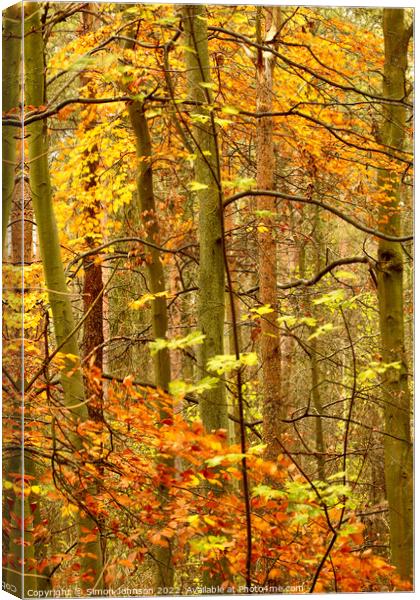 December Autumn  Canvas Print by Simon Johnson