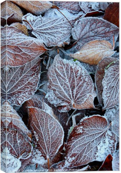 frosted leaves Canvas Print by Simon Johnson