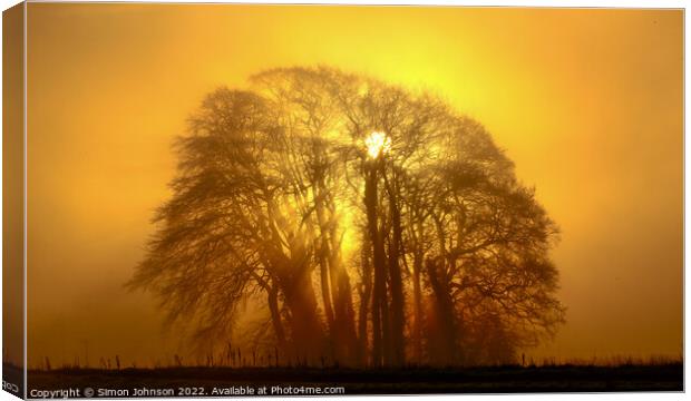 Trees, mist and sunburst Canvas Print by Simon Johnson