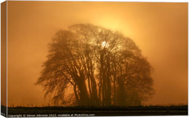 Misty sunrise  Canvas Print by Simon Johnson