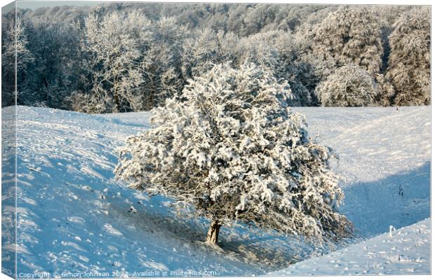 The leaning tree in winter Snow Canvas Print by Simon Johnson