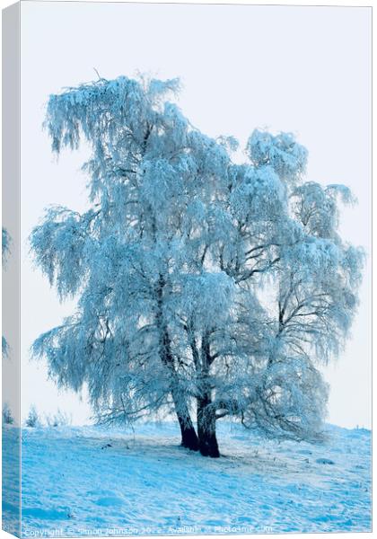 Frosted Tree Canvas Print by Simon Johnson