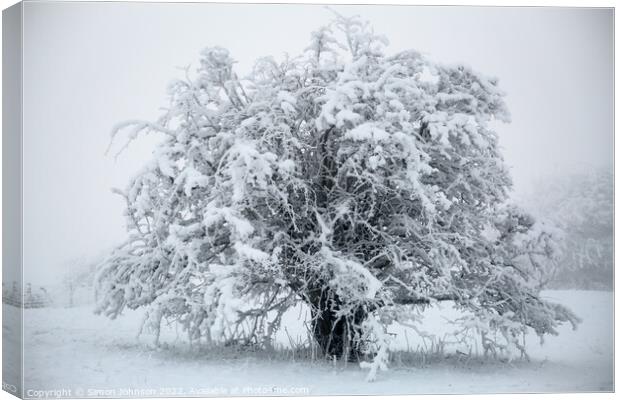 Frosted tree in monochrome  Canvas Print by Simon Johnson