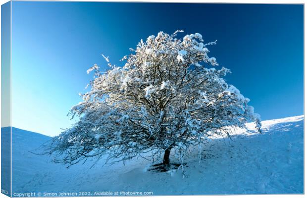 frosted tree Canvas Print by Simon Johnson