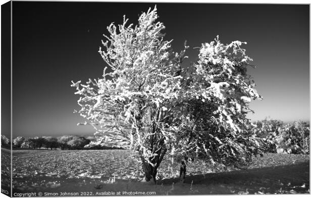frosted tree in Monochrome  Canvas Print by Simon Johnson