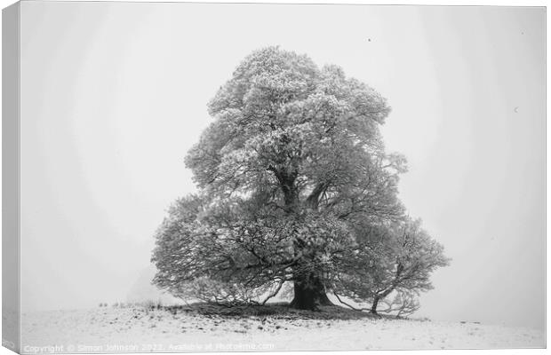 Frosted tree in snow and fog Canvas Print by Simon Johnson