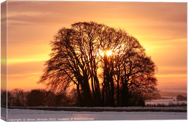 sunrise trees Canvas Print by Simon Johnson