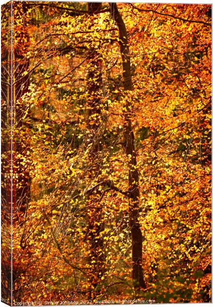 Autumn Fire Canvas Print by Simon Johnson