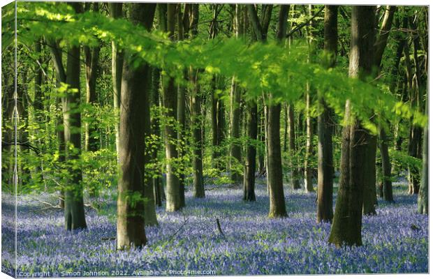 Bluebell Wood Canvas Print by Simon Johnson