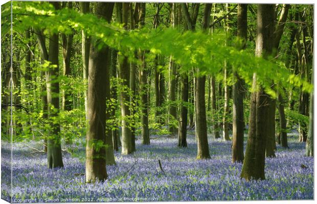 Bluebell woodland Canvas Print by Simon Johnson