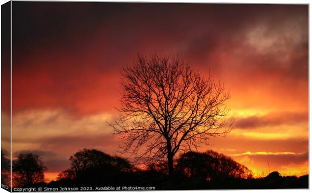 tree silhouette at sunrise Canvas Print by Simon Johnson