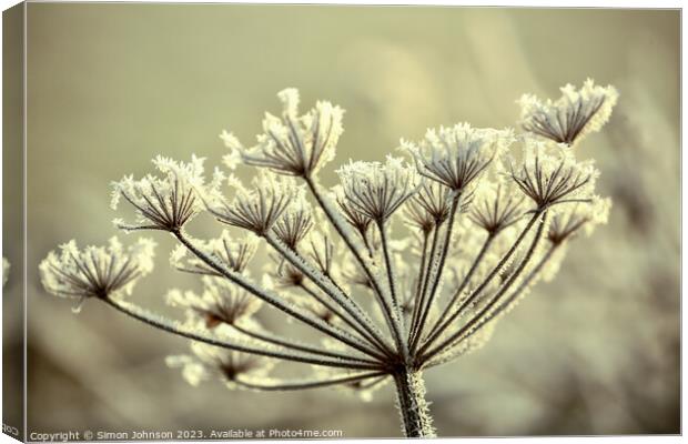 frosted grass Canvas Print by Simon Johnson