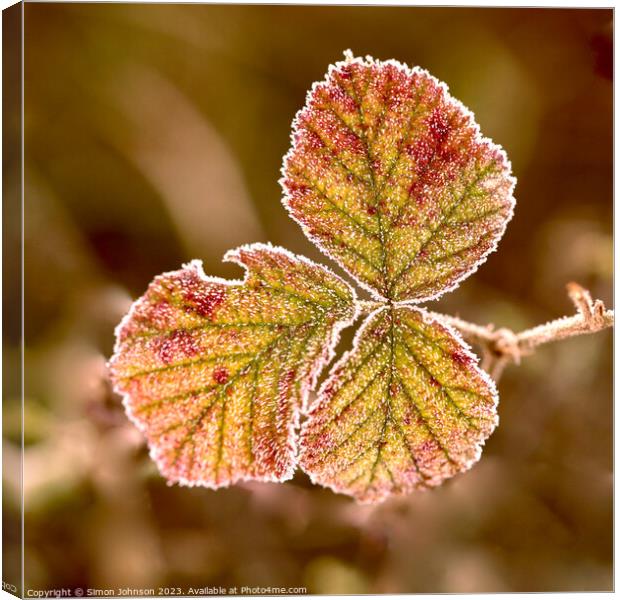 frosted leaf Canvas Print by Simon Johnson