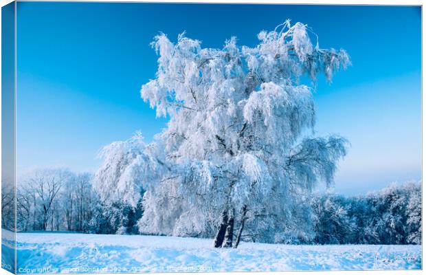 Hoar frosted tree Canvas Print by Simon Johnson