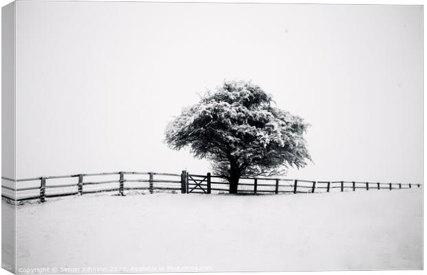 tree, snow and fence Canvas Print by Simon Johnson
