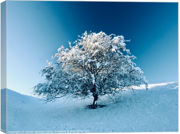 Tree with Snow  Canvas Print by Simon Johnson