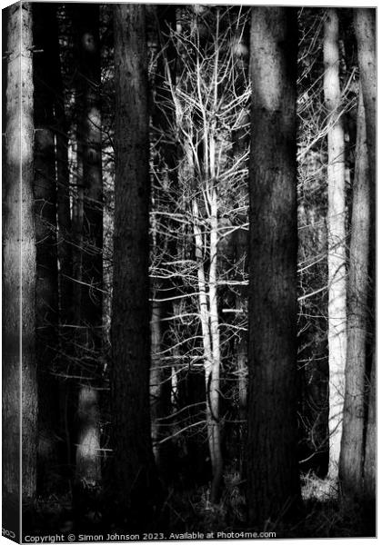 sunlit tree monochrome Canvas Print by Simon Johnson