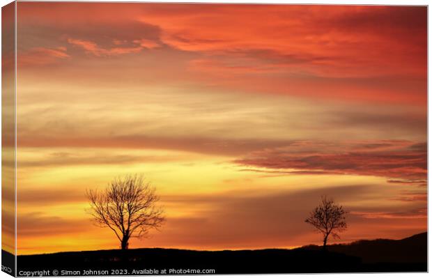 Tree silhouettes sunset Canvas Print by Simon Johnson