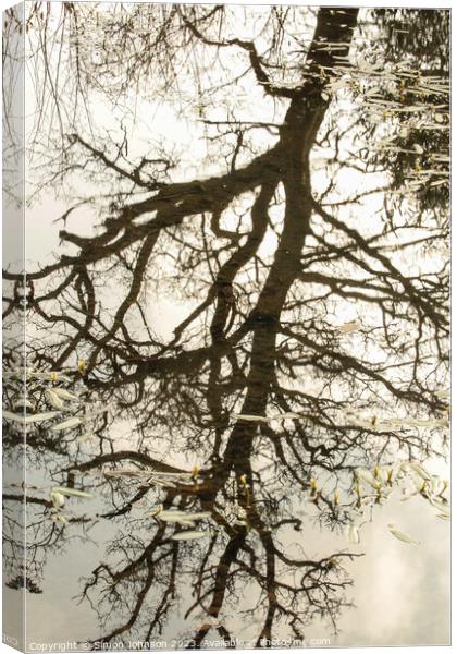tree reflections in pond Canvas Print by Simon Johnson