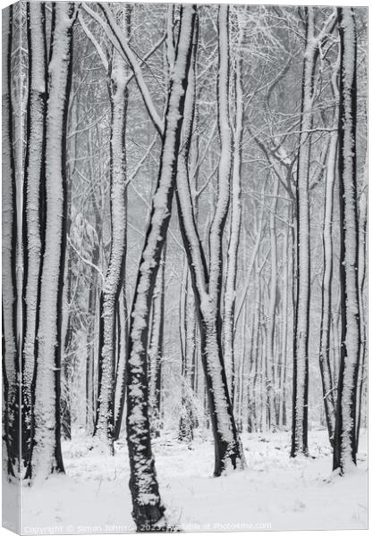 frosted  tree trunks Canvas Print by Simon Johnson