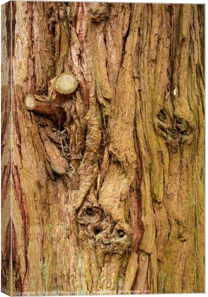 Tree bark Canvas Print by Simon Johnson