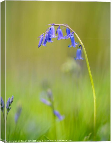 A close up of a flower Canvas Print by Simon Johnson