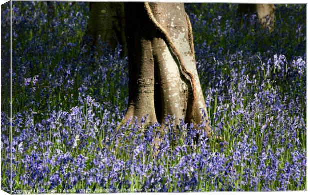 sunlit bluebells Canvas Print by Simon Johnson