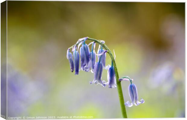 A close up of a Bluebell flower  Canvas Print by Simon Johnson