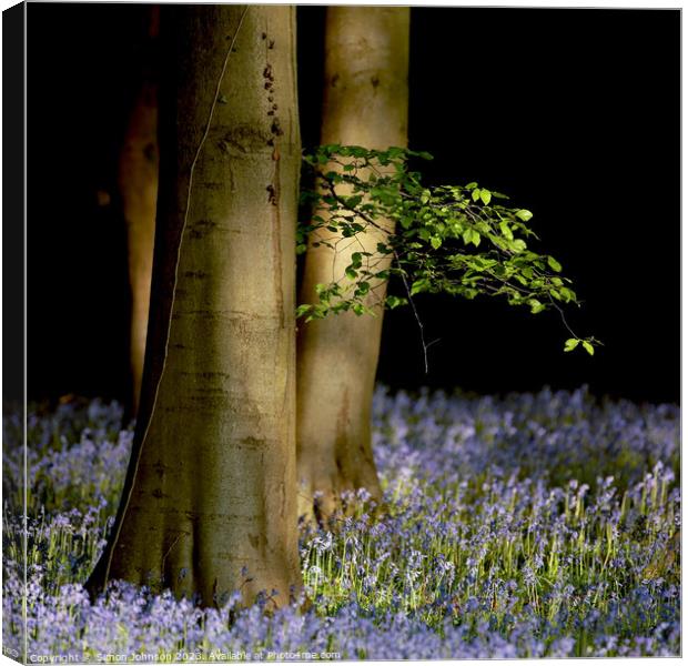 Sunlit Leaves and bluebells  Canvas Print by Simon Johnson