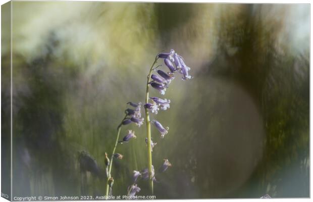 A blurry image of a flower Canvas Print by Simon Johnson