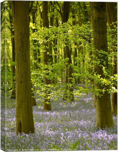 Plant tree Canvas Print by Simon Johnson