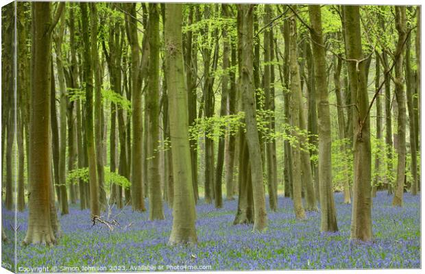 bluebell woodland Canvas Print by Simon Johnson