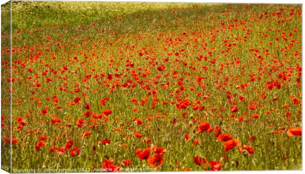 Poppy Impressionism Canvas Print by Simon Johnson