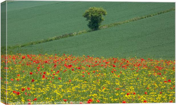 Outdoor field Canvas Print by Simon Johnson