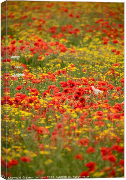 Poppy and wild flower  field Canvas Print by Simon Johnson
