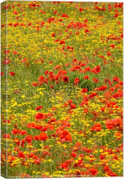 poppy and wild flower field Canvas Print by Simon Johnson