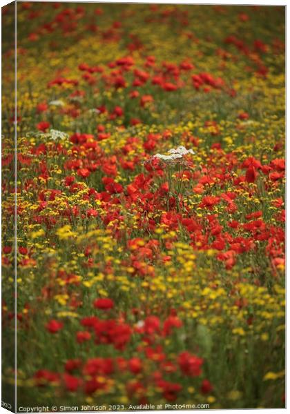 wild flower meadow Canvas Print by Simon Johnson