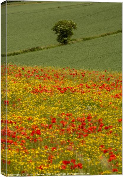 wild flower meadow Canvas Print by Simon Johnson