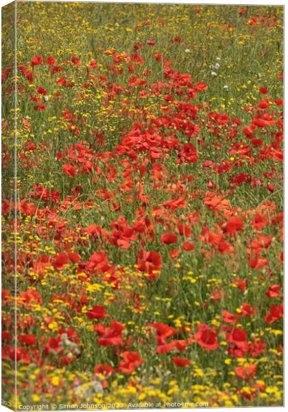 Outdoor field Canvas Print by Simon Johnson