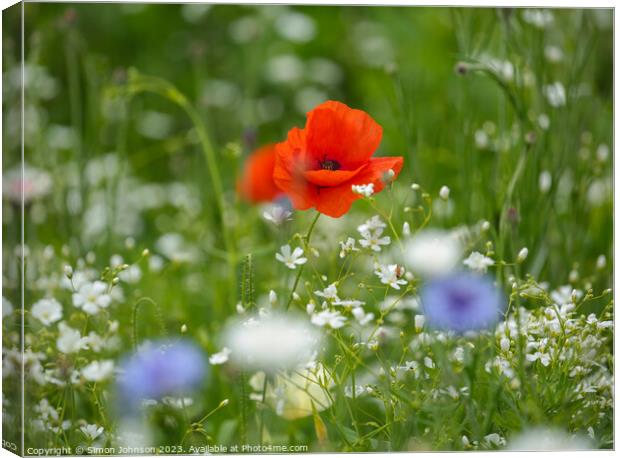 Poppies  Canvas Print by Simon Johnson