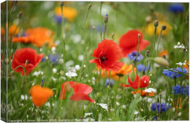 A Riot of Colourful Poppies Canvas Print by Simon Johnson
